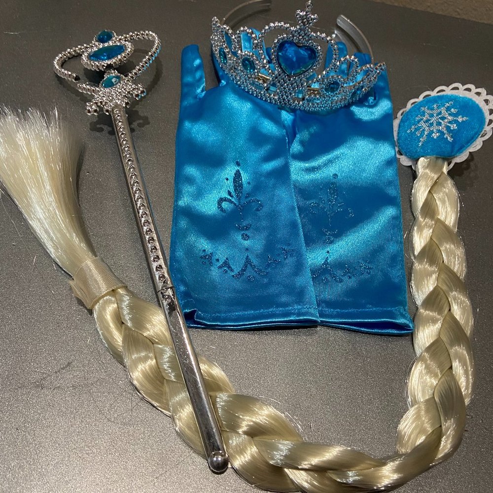 FROZON Elsa Coronation COSTUME DRESS